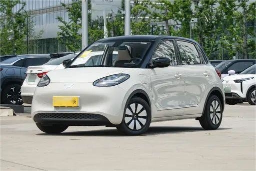 中古 新エネルギー車両 ウーリング ビンゴ ライト カフェ カラー 333KM モデル