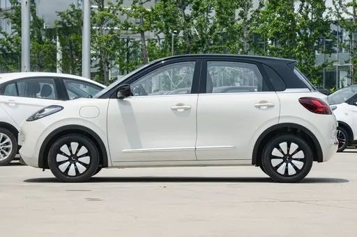 中古 新エネルギー車両 ウーリング ビンゴ ライト カフェ カラー 333KM モデル