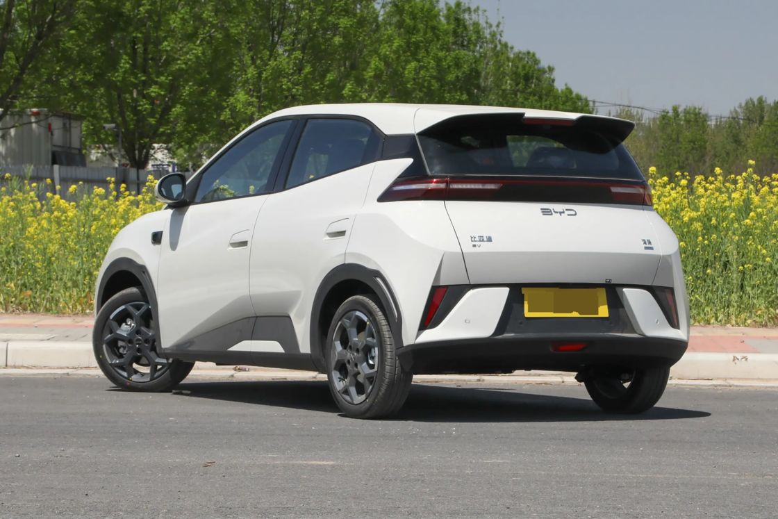 安価 新型 BYD シガール 小型車 2025 電動 2WD 家族用 輸出用