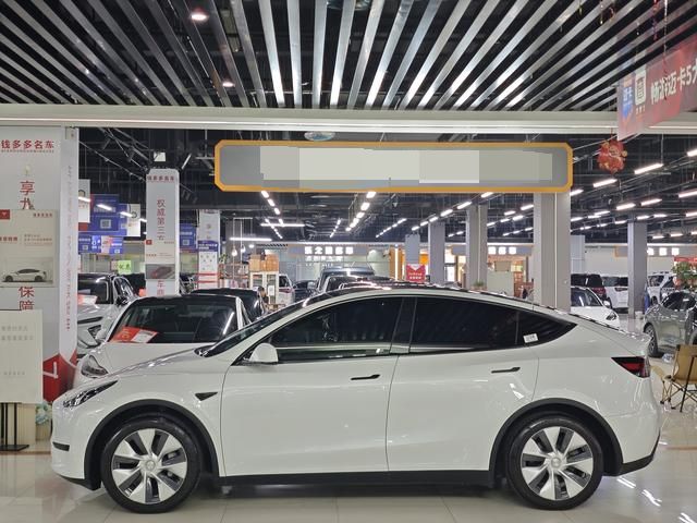 格安 家庭用 カー バージョン カー バージョン